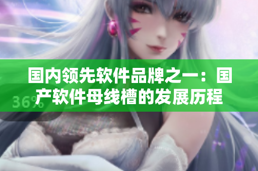 國(guó)內(nèi)領(lǐng)先軟件品牌之一：國(guó)產(chǎn)軟件母線槽的發(fā)展歷程