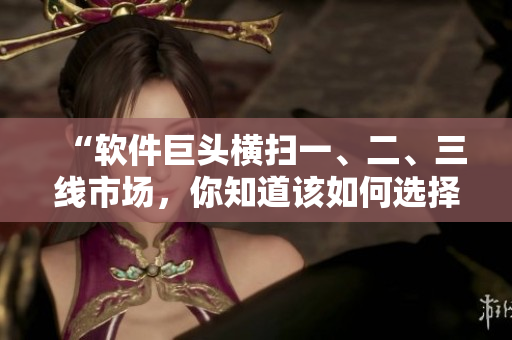 “軟件巨頭橫掃一、二、三線市場，你知道該如何選擇？”