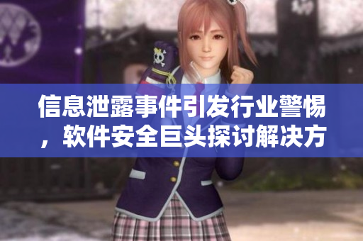 信息泄露事件引發(fā)行業(yè)警惕，軟件安全巨頭探討解決方案