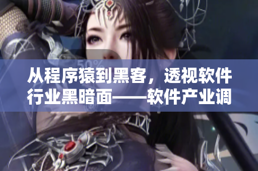 從程序猿到黑客，透視軟件行業(yè)黑暗面——軟件產(chǎn)業(yè)調(diào)查報(bào)道