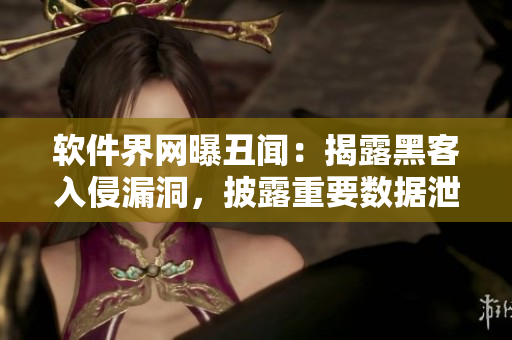 軟件界網(wǎng)曝丑聞：揭露黑客入侵漏洞，披露重要數(shù)據(jù)泄漏門
