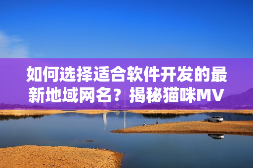 如何選擇適合軟件開發(fā)的最新地域網(wǎng)名？揭秘貓咪MV背后的命名技巧