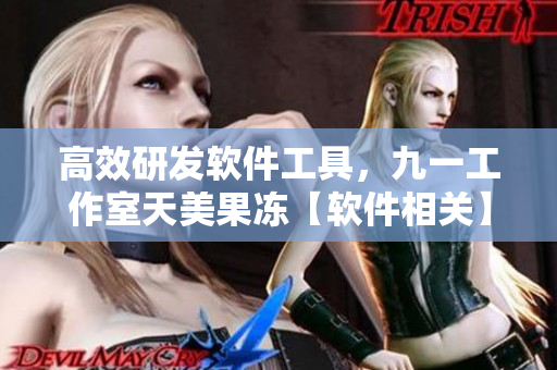 高效研發(fā)軟件工具，九一工作室天美果凍【軟件相關(guān)】