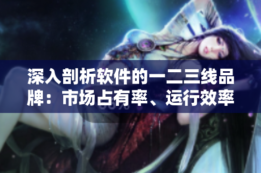 深入剖析軟件的一二三線品牌：市場占有率、運行效率及安全穩(wěn)定性