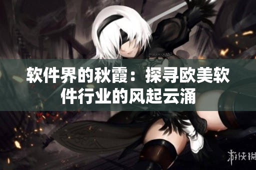 軟件界的秋霞：探尋歐美軟件行業(yè)的風起云涌