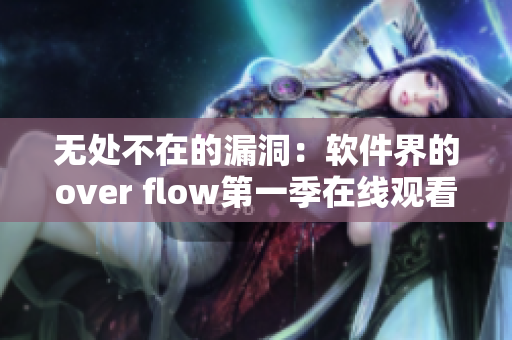無(wú)處不在的漏洞：軟件界的over flow第一季在線觀看