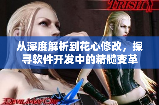 從深度解析到花心修改，探尋軟件開發(fā)中的精髓變革