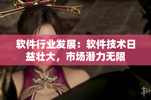 軟件行業(yè)發(fā)展：軟件技術(shù)日益壯大，市場潛力無限