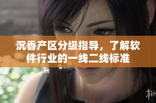 沉香產(chǎn)區(qū)分級指導，了解軟件行業(yè)的一線二線標準