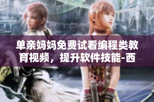 單親媽媽免費(fèi)試看編程類教育視頻，提升軟件技能-西瓜視頻