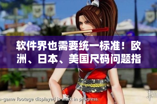 軟件界也需要統(tǒng)一標(biāo)準(zhǔn)！歐洲、日本、美國(guó)尺碼問題指南