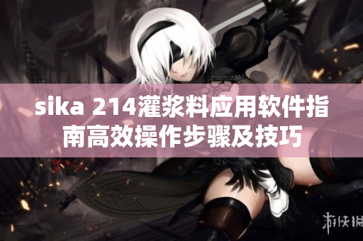 sika 214灌漿料應用軟件指南高效操作步驟及技巧