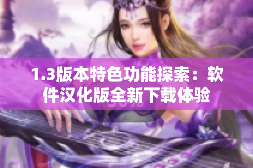 1.3版本特色功能探索：軟件漢化版全新下載體驗