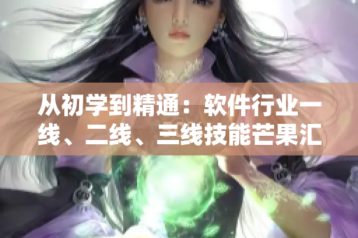 從初學到精通：軟件行業(yè)一線、二線、三線技能芒果匯總