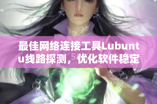 最佳網(wǎng)絡(luò)連接工具Lubuntu線路探測，優(yōu)化軟件穩(wěn)定更高效