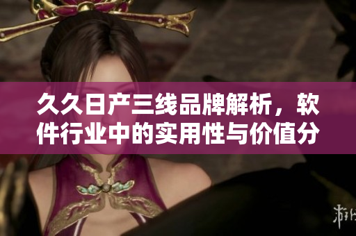 久久日產(chǎn)三線品牌解析，軟件行業(yè)中的實用性與價值分析