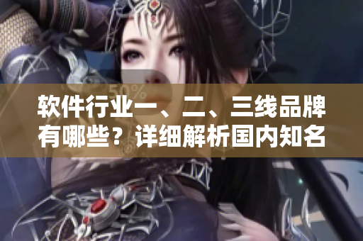 軟件行業(yè)一、二、三線品牌有哪些？詳細(xì)解析國內(nèi)知名軟件企業(yè)排名