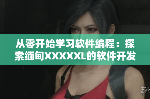 從零開始學(xué)習(xí)軟件編程：探索緬甸XXXXXL的軟件開發(fā)世界