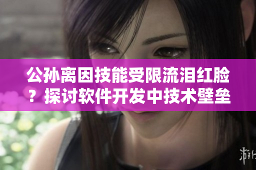 公孫離因技能受限流淚紅臉？探討軟件開(kāi)發(fā)中技術(shù)壁壘問(wèn)題！