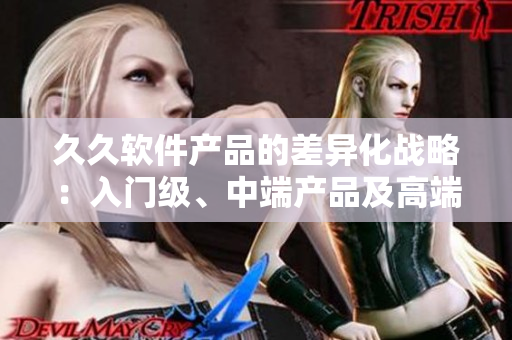 久久軟件產(chǎn)品的差異化戰(zhàn)略：入門級、中端產(chǎn)品及高端產(chǎn)品介紹