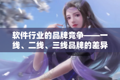 軟件行業(yè)的品牌競(jìng)爭(zhēng)——一線、二線、三線品牌的差異分析