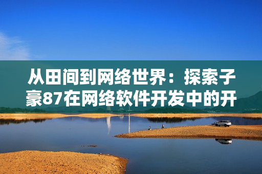 從田間到網(wǎng)絡(luò)世界：探索子豪87在網(wǎng)絡(luò)軟件開(kāi)發(fā)中的開(kāi)機(jī)方法
