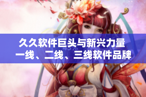 久久軟件巨頭與新興力量 一線、二線、三線軟件品牌盤點(diǎn)