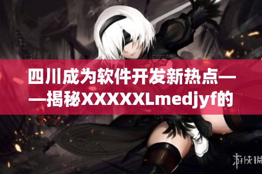 四川成為軟件開(kāi)發(fā)新熱點(diǎn)——揭秘XXXXXLmedjyf的成功之路