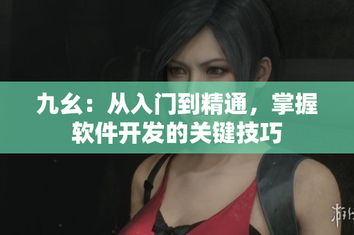 九幺：從入門到精通，掌握軟件開發(fā)的關鍵技巧