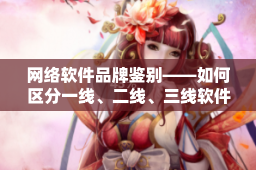 網(wǎng)絡(luò)軟件品牌鑒別——如何區(qū)分一線、二線、三線軟件品牌？