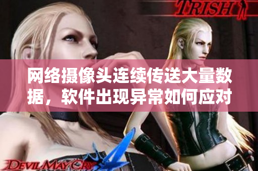 網(wǎng)絡攝像頭連續(xù)傳送大量數(shù)據(jù)，軟件出現(xiàn)異常如何應對？