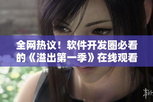 全網(wǎng)熱議！軟件開發(fā)圈必看的《溢出第一季》在線觀看