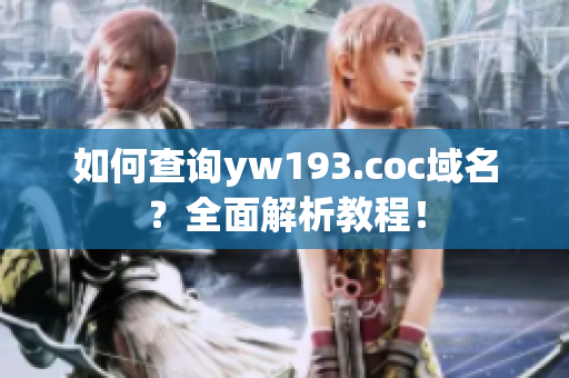 如何查詢yw193.coc域名？全面解析教程！