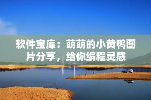 軟件寶庫：萌萌的小黃鴨圖片分享，給你編程靈感