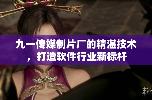 九一傳媒制片廠的精湛技術，打造軟件行業(yè)新標桿