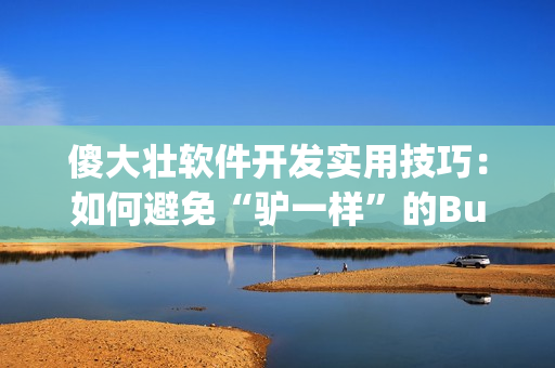 傻大壯軟件開發(fā)實用技巧：如何避免“驢一樣”的Bug？