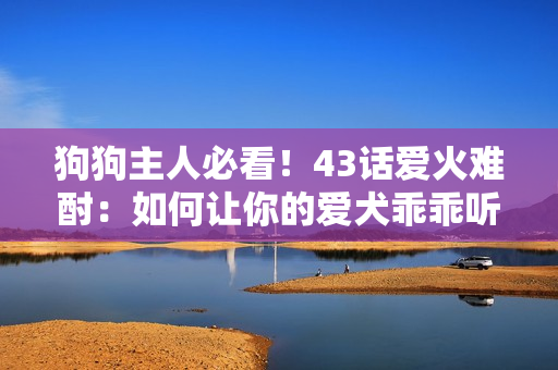 狗狗主人必看！43話愛火難酎：如何讓你的愛犬乖乖聽從你的指令？