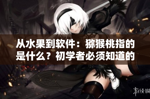 從水果到軟件：獼猴桃指的是什么？初學(xué)者必須知道的軟件術(shù)語(yǔ)解析！