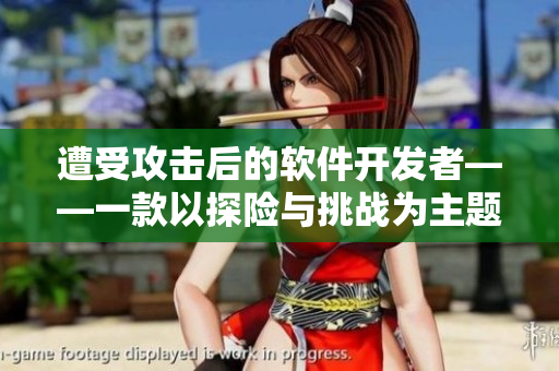 遭受攻擊后的軟件開發(fā)者——一款以探險與挑戰(zhàn)為主題的RPG游戲