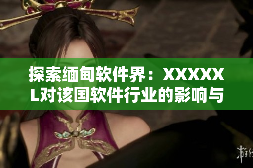 探索緬甸軟件界：XXXXXL對(duì)該國(guó)軟件行業(yè)的影響與前景展望