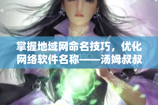 掌握地域網(wǎng)命名技巧，優(yōu)化網(wǎng)絡(luò)軟件名稱——湯姆叔叔專業(yè)教授