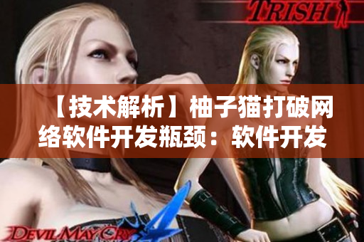 【技術(shù)解析】柚子貓打破網(wǎng)絡(luò)軟件開發(fā)瓶頸：軟件開發(fā)者的最愛