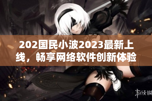 202國(guó)民小波2023最新上線，暢享網(wǎng)絡(luò)軟件創(chuàng)新體驗(yàn)