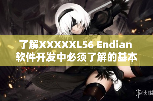 了解XXXXXL56 Endian 軟件開發(fā)中必須了解的基本知識