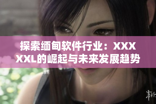 探索緬甸軟件行業(yè)：XXXXXL的崛起與未來(lái)發(fā)展趨勢(shì)