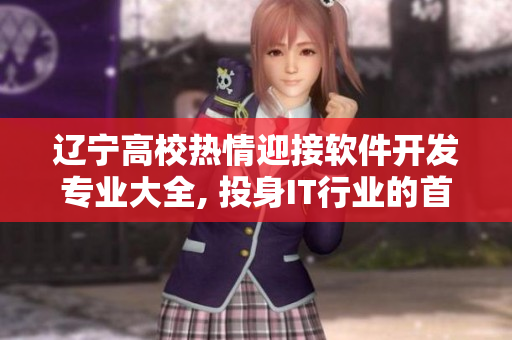 遼寧高校熱情迎接軟件開發(fā)專業(yè)大全, 投身IT行業(yè)的首選選擇