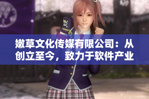 嫩草文化傳媒有限公司：從創(chuàng)立至今，致力于軟件產(chǎn)業(yè)發(fā)展