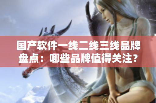 國產(chǎn)軟件一線二線三線品牌盤點：哪些品牌值得關(guān)注？