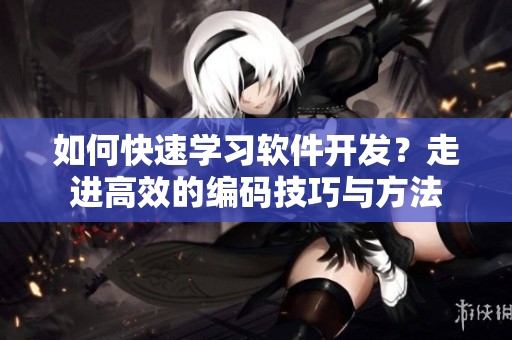 如何快速學(xué)習(xí)軟件開發(fā)？走進(jìn)高效的編碼技巧與方法
