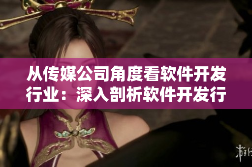 從傳媒公司角度看軟件開發(fā)行業(yè)：深入剖析軟件開發(fā)行業(yè)熱點(diǎn)與趨勢